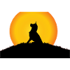 A dog in the sun