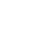 FBI Police