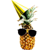 Party Pineapple Pineapple Holidays