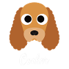 Cocker - Cocker anglais