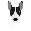 Bully - English Bull Terrier