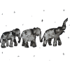 Aquarelles d'éléphants