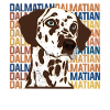 Dalmatian