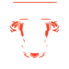 Tee Shirt Bouchers