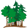 Dans la forêt
