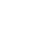 Angel wings feathers