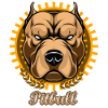Pitbull