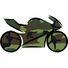 Motorcycle camouflage