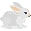 Mountain hare sits in the snow