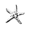 Hand Drawn Starfish - Seaside Getaway