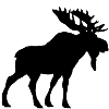 Moose shirt