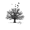Tree Black