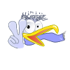 Moin Fischkopp
