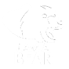 Ours je suis un ours