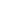 Erste Geige