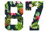 87