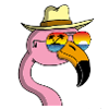 Flamingo on vacation