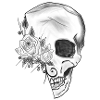Skull Rose