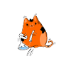 Cocaine addicted cat