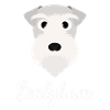Sealyham - Sealyham Terrier