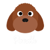 Poodle - Miniature Poodle