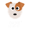 JRT - Jack Russel Terrier
