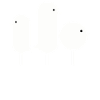 Black birds