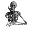 friendly skeleton