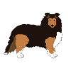 Pixels graphiques SHELTIE avant