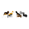 Shelties Paysage
