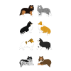 Shelties portrait