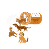 Antidepressants dogs