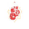 Boxer Boxe Boxe Boxe