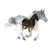 Cheval au galop