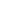 Goose | Duck | Origami