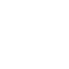 Pheasant - Origami
