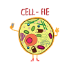 Cell-Fie