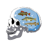 Pêcheur de pêche au crâne