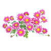Blumen bunt Geschenk