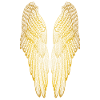 Long Gold Wings