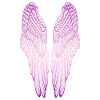 Long Pink Wings
