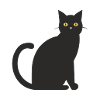 black cat
