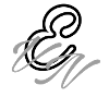 Classic EVN Logo Design