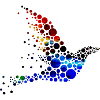 Vogel bunt