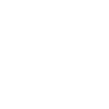 Dahlia blanc