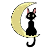 Chat assis sur une lune
