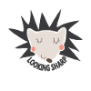 Hedgehog looks sharp