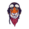Tigre qui regarde