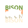 bison