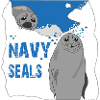 Navy Seals